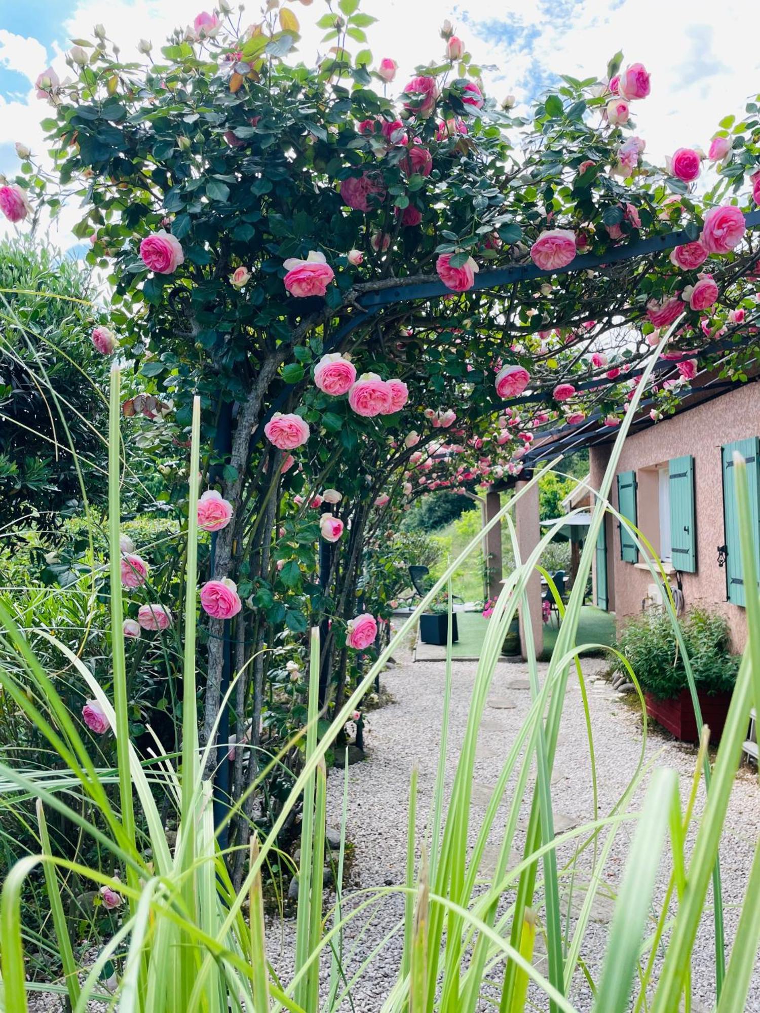 Douce Quietude "L'Escapade" Chambre D'Hotes Vals-les-Bains Ngoại thất bức ảnh